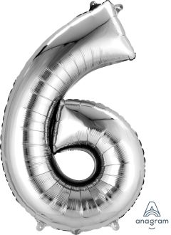 Silver Number 6 Balloon