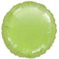 Kiwi Round Balloon