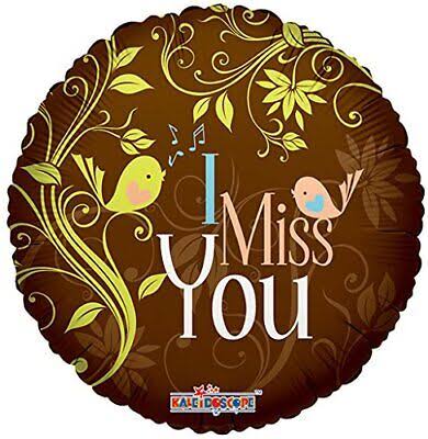 I Miss You Birds